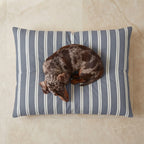 Cama para mascotas desenfundable antimanchas Chispa