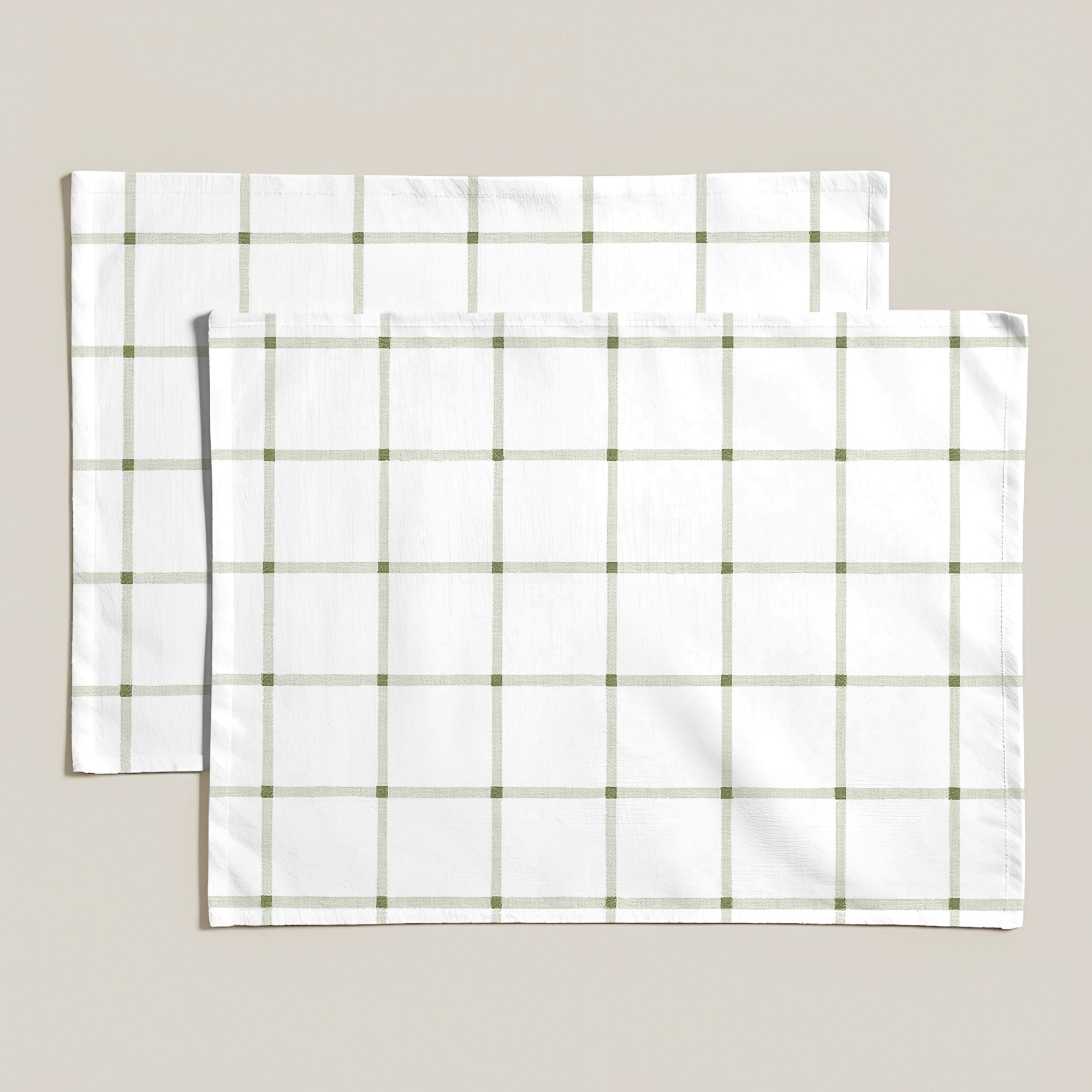 Mantel individual antimanchas pack 2 unidades Concu