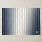 Mantel individual antimanchas pack 4 unidades Copina 51