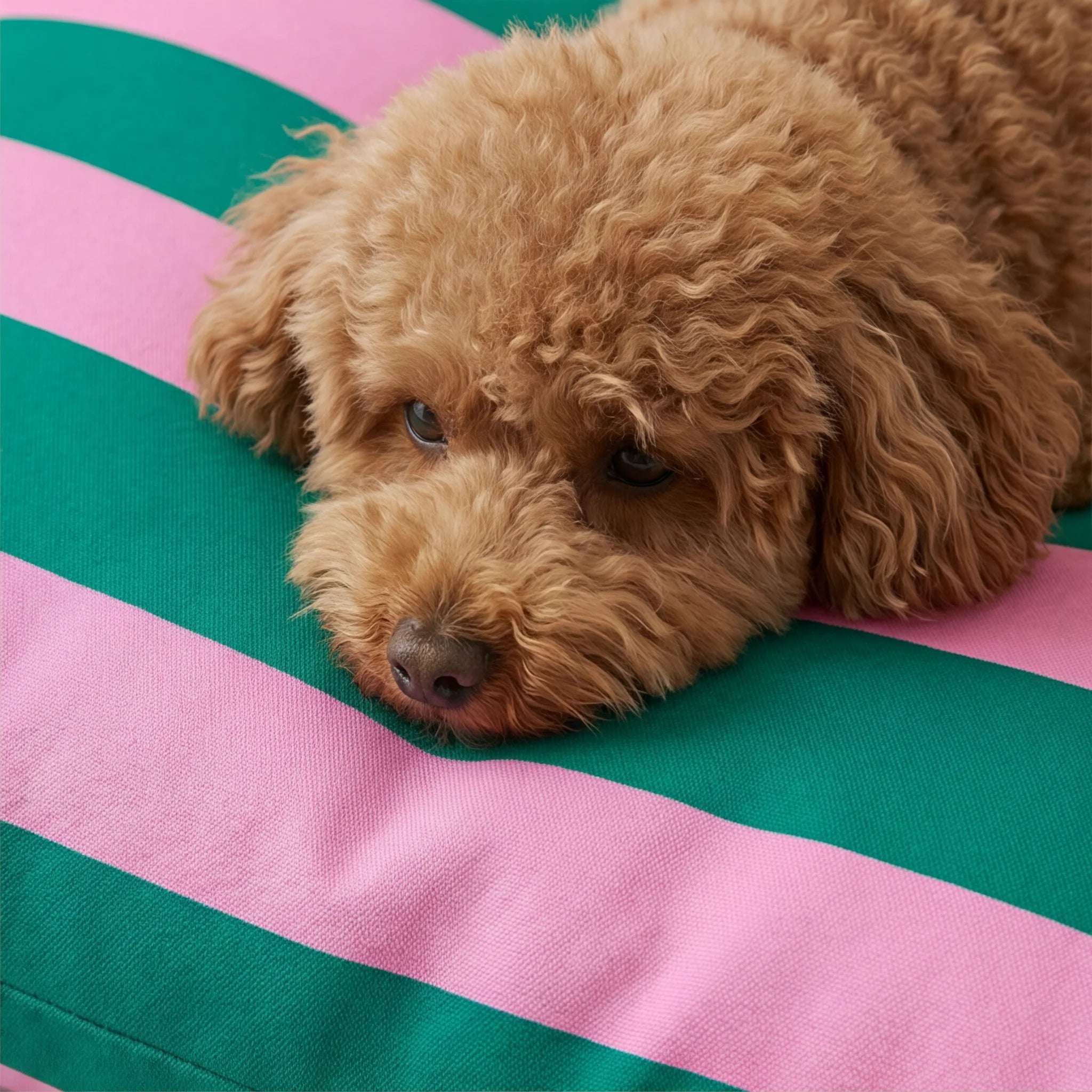 Fodera per letto per animali domestici antimacchia Copo