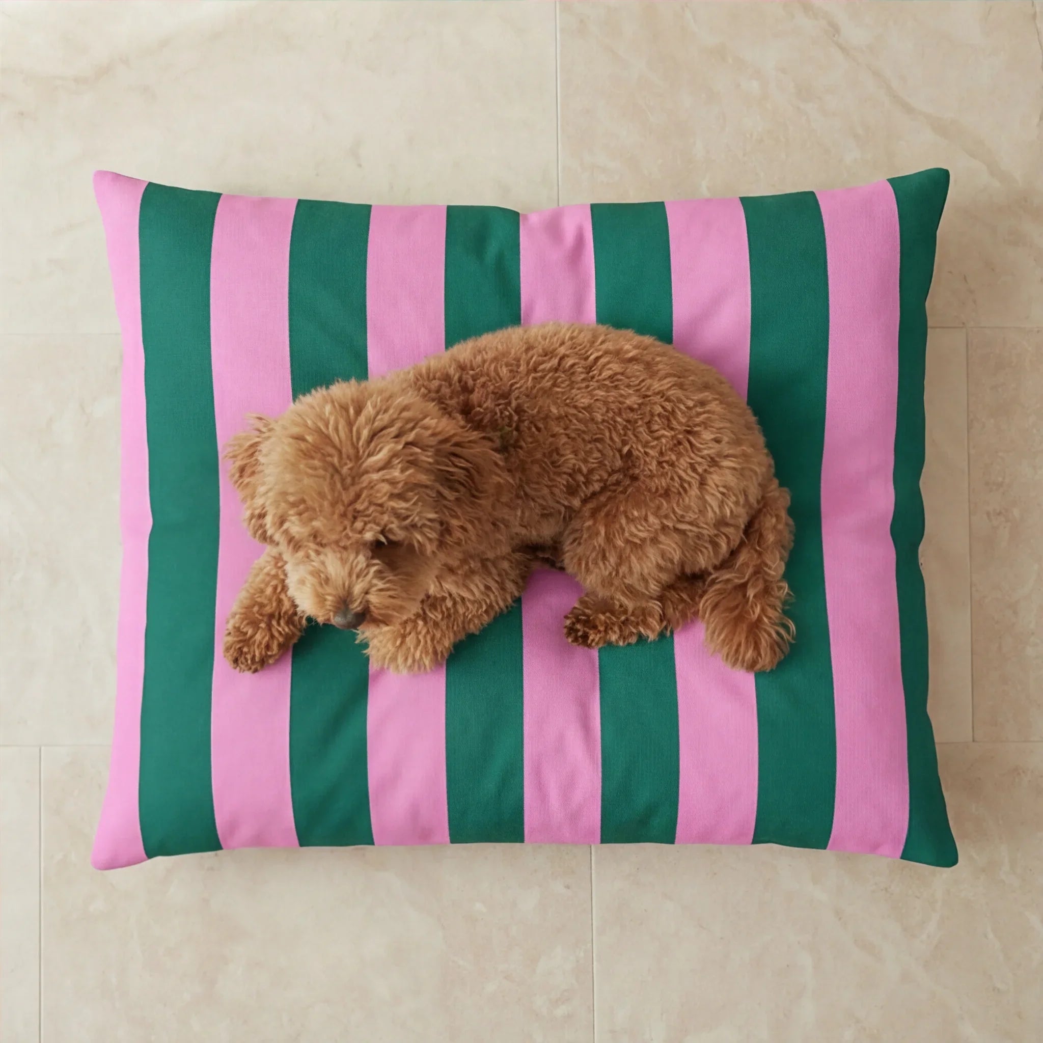 Cama para mascotas desenfundable antimanchas Copo