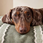 Funda para cama de mascota antimanchas Cora
