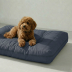 Cama para mascota gruesa y acolchada con acabado antimanchas Nua