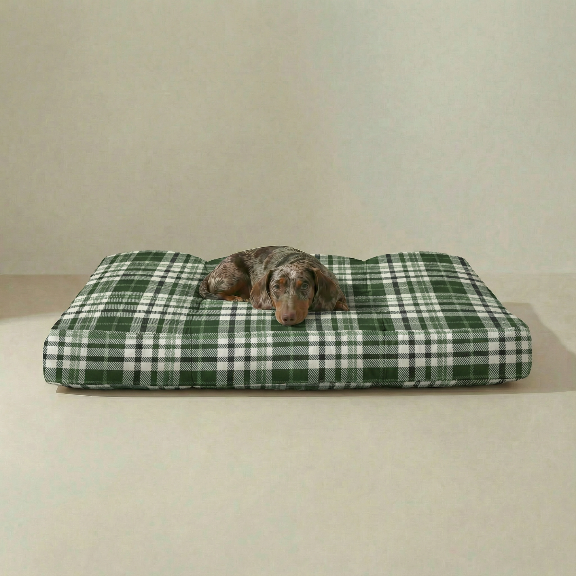 Cama para mascota gruesa y acolchada con acabado antimanchas Davis Green