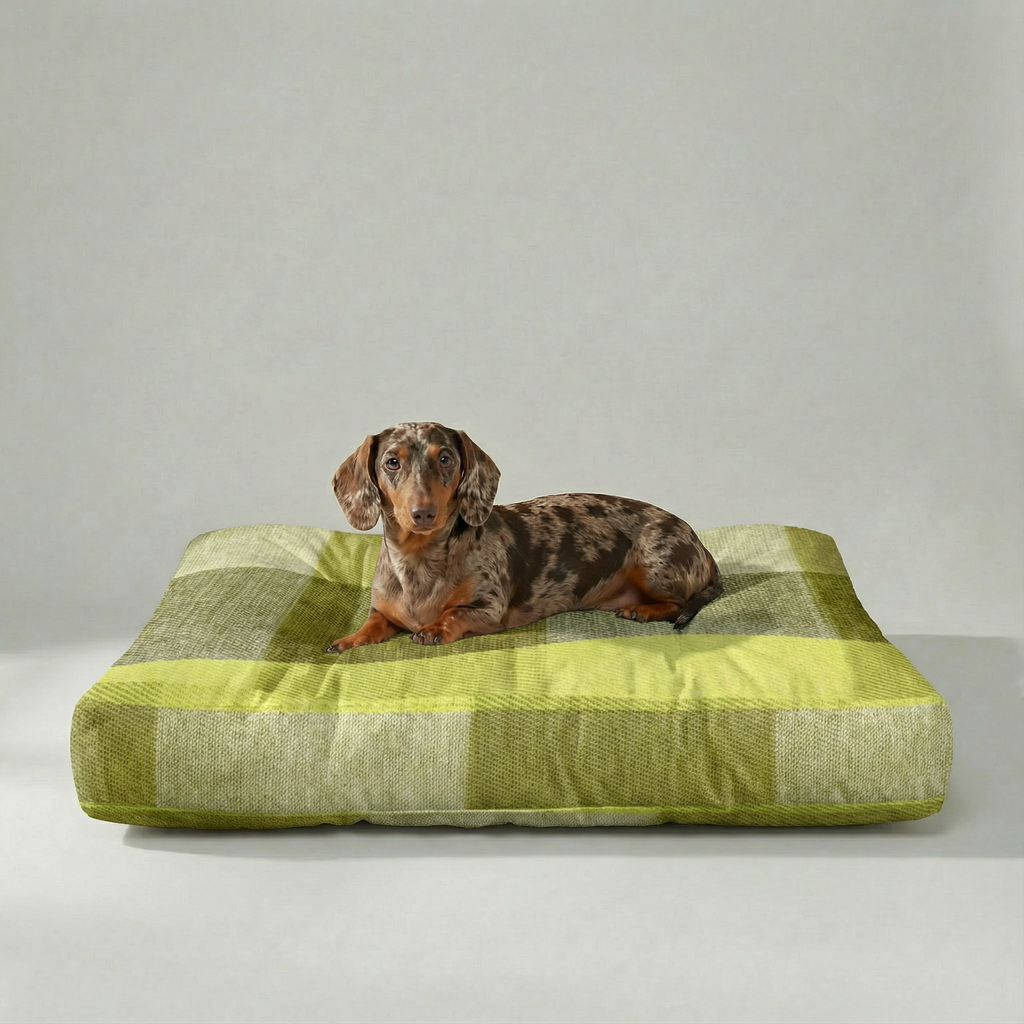Cama para mascota gruesa y acolchada con acabado antimanchas Bath Verde