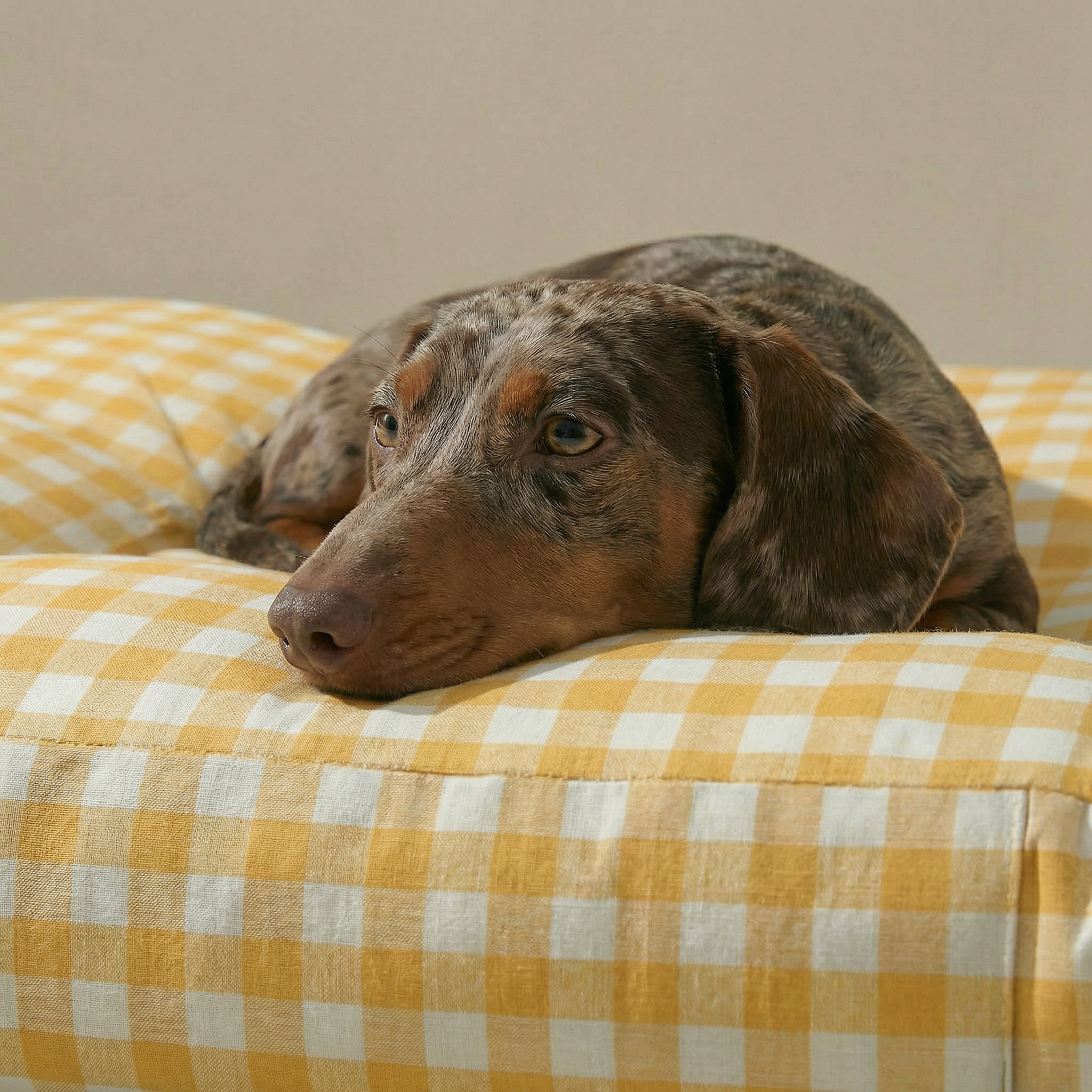 Cama para mascota gruesa y acolchada con acabado antimanchas Vichy Amarillo
