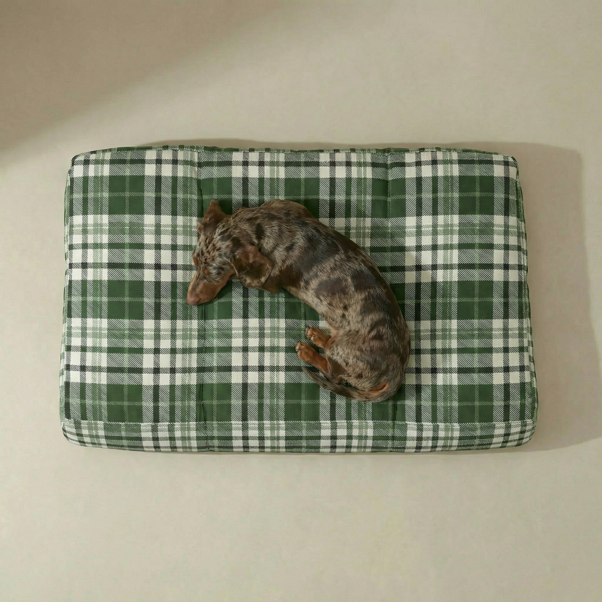 Cama para mascota gruesa y acolchada con acabado antimanchas Davis Green
