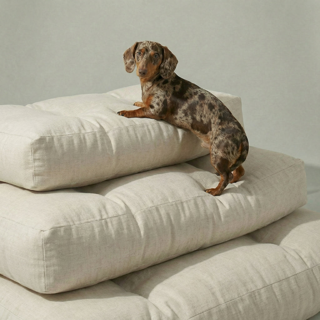 Cama para mascota gruesa y acolchada con acabado antimanchas Liso Lino 101