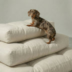 Cama para mascota gruesa y acolchada con acabado antimanchas Liso Lino 101