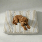 Cama para mascota gruesa y acolchada con acabado antimanchas Joel