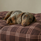 Cama para mascota gruesa y acolchada con acabado antimanchas Gus