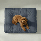 Cama para mascota gruesa y acolchada con acabado antimanchas Nua