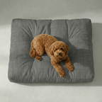 Cama para mascota gruesa y acolchada con acabado antimanchas 0120-42