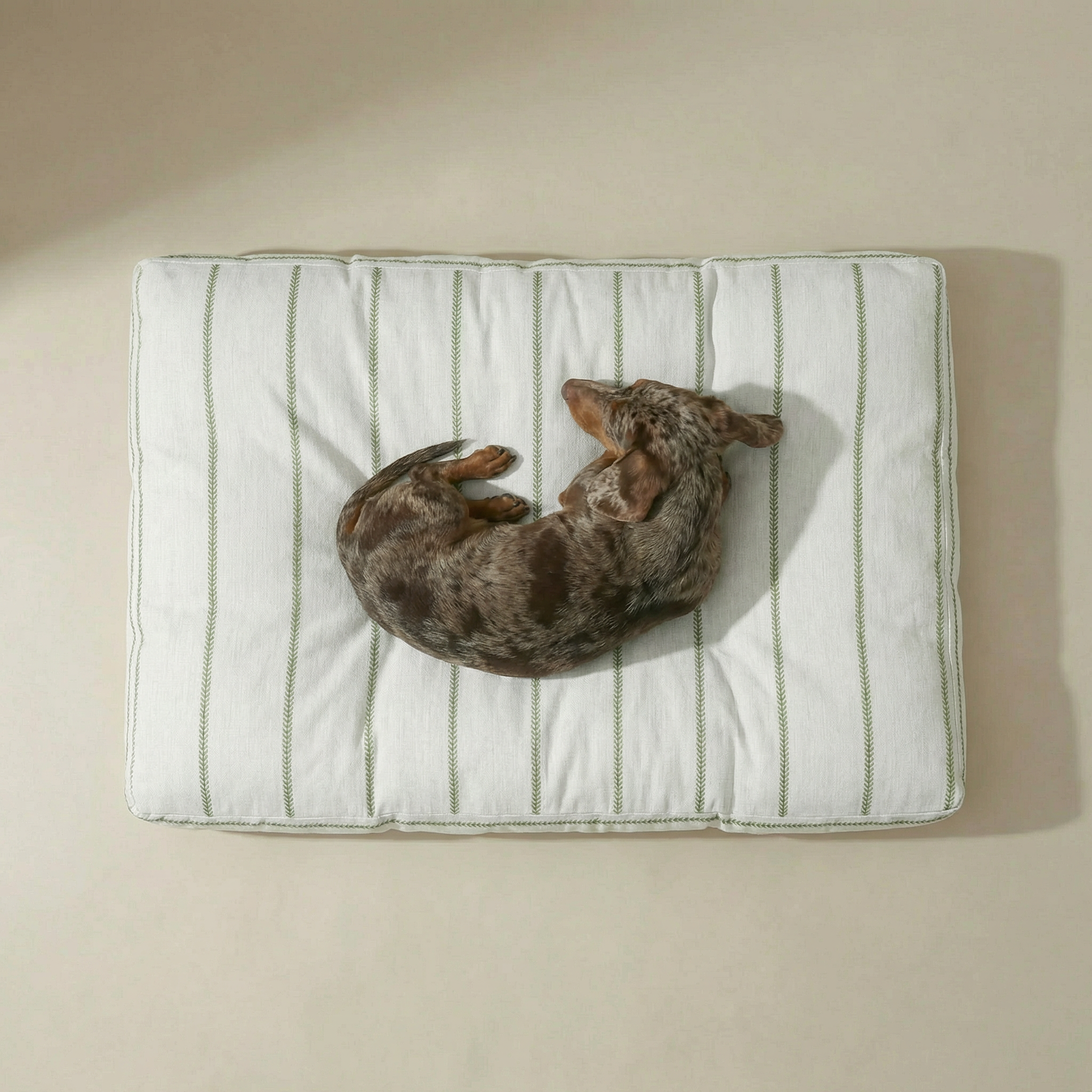 Cama para mascota gruesa y acolchada con acabado antimanchas Ian Green