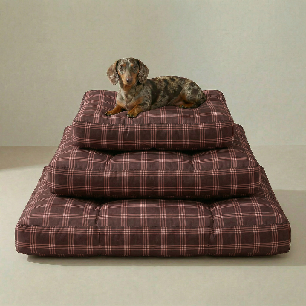 Cama para mascota gruesa y acolchada con acabado antimanchas Gus