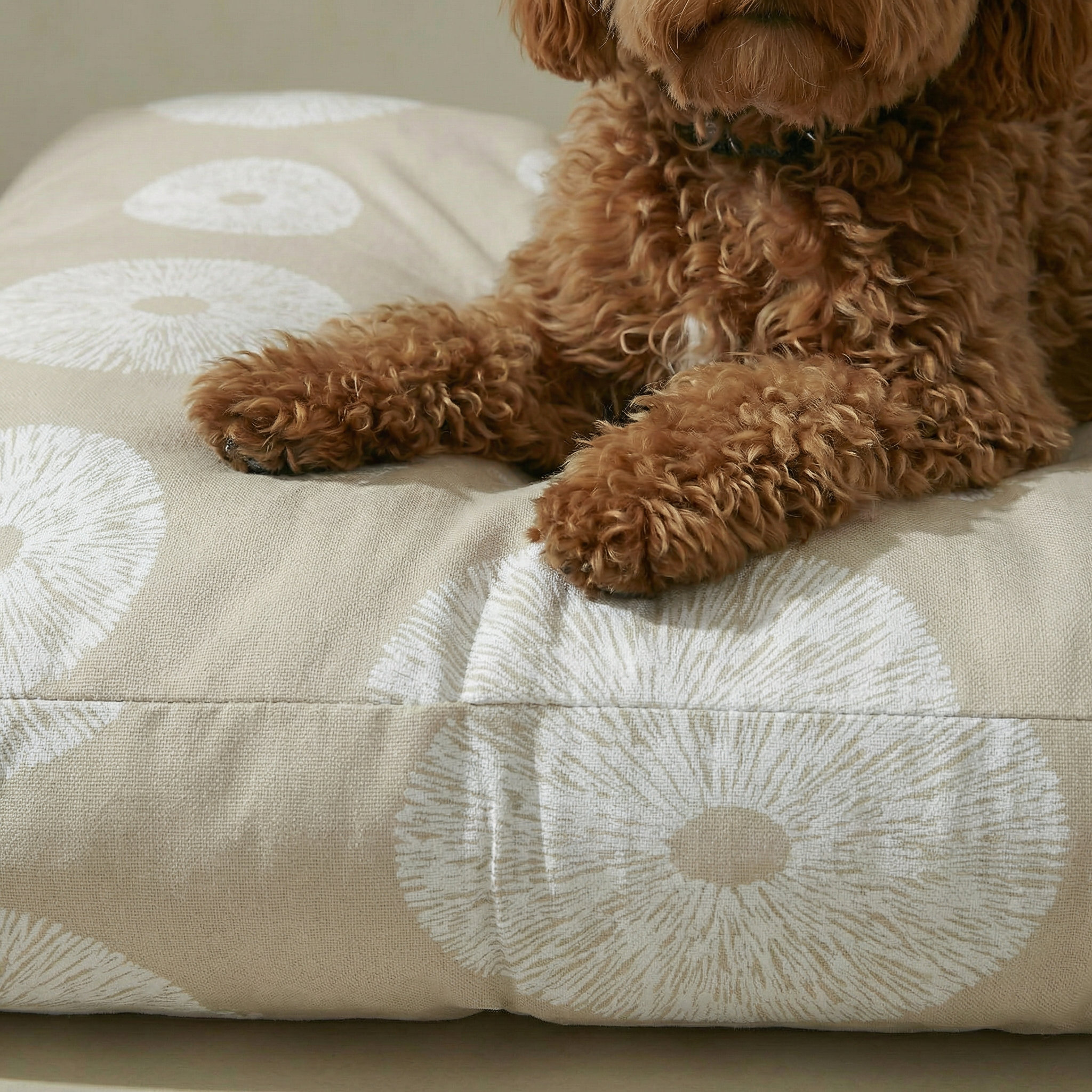 Cama para mascota gruesa y acolchada con acabado antimanchas Lolani