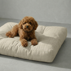 Cama para mascota gruesa y acolchada con acabado antimanchas Beig Medio