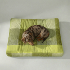 Cama para mascota gruesa y acolchada con acabado antimanchas Bath Verde