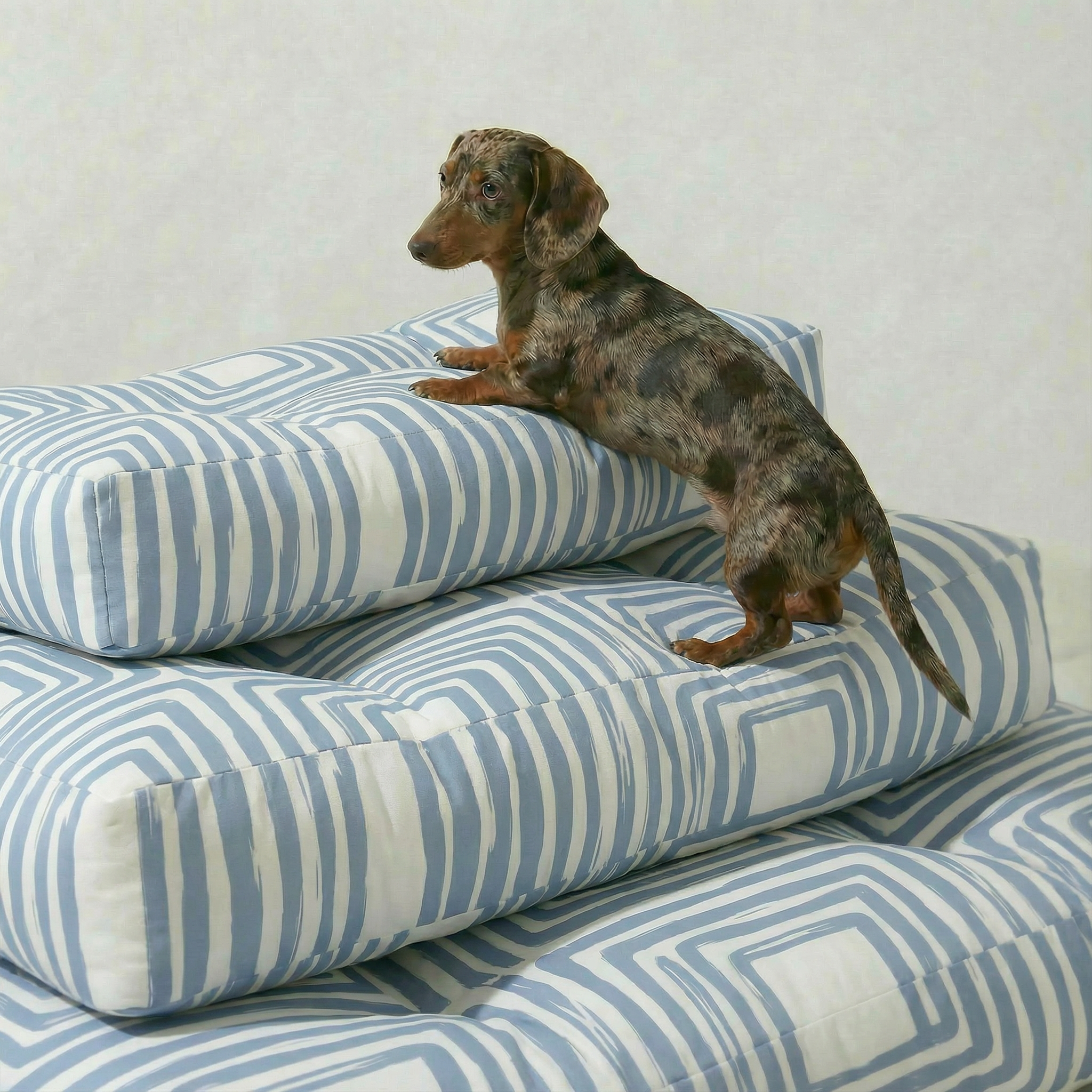 Cama para mascota gruesa y acolchada con acabado antimanchas Peñíscola B