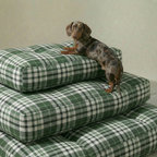 Cama para mascota gruesa y acolchada con acabado antimanchas Davis Green