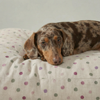 Cama para mascota gruesa y acolchada con acabado antimanchas 0119-19