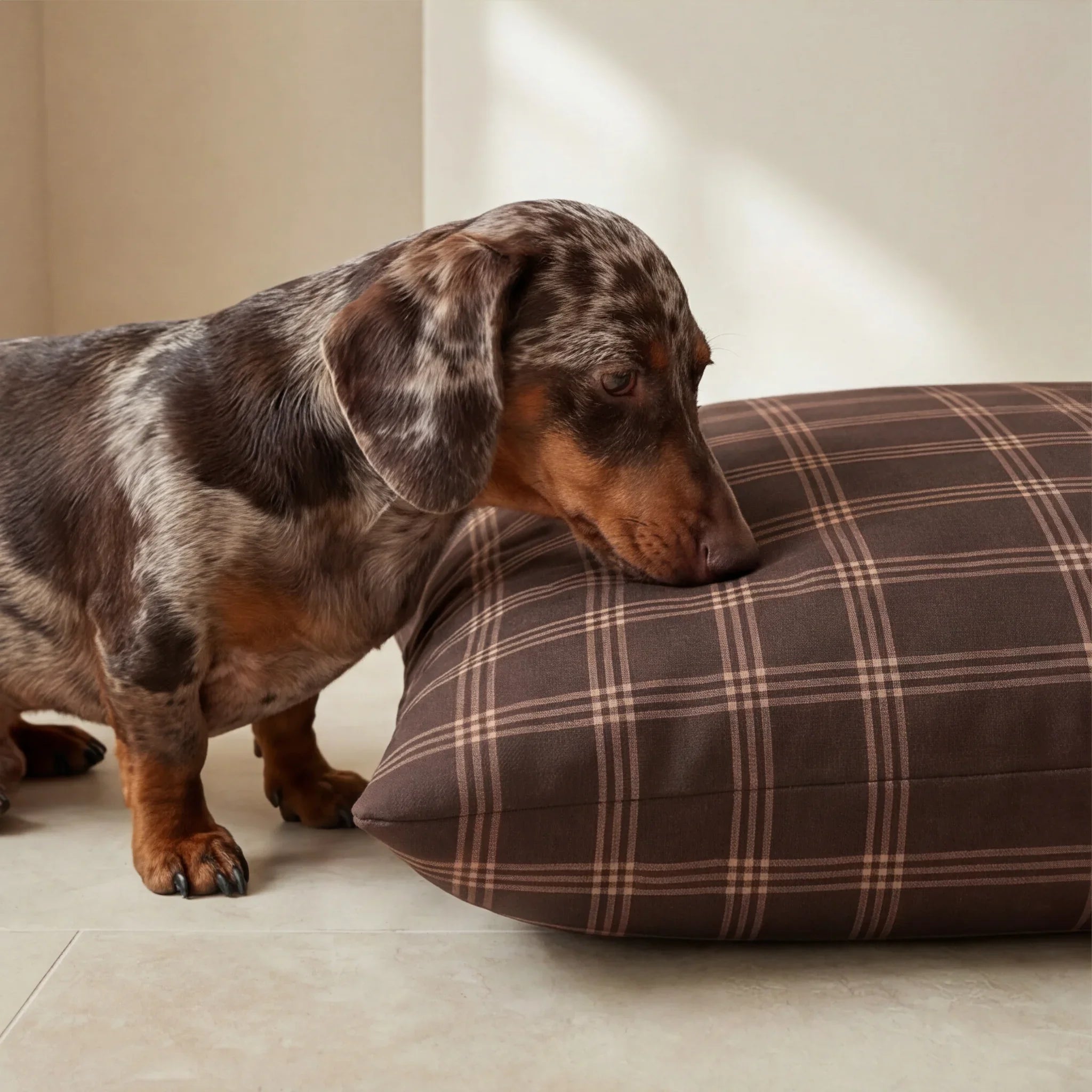 Funda para cama de mascota antimanchas Gus