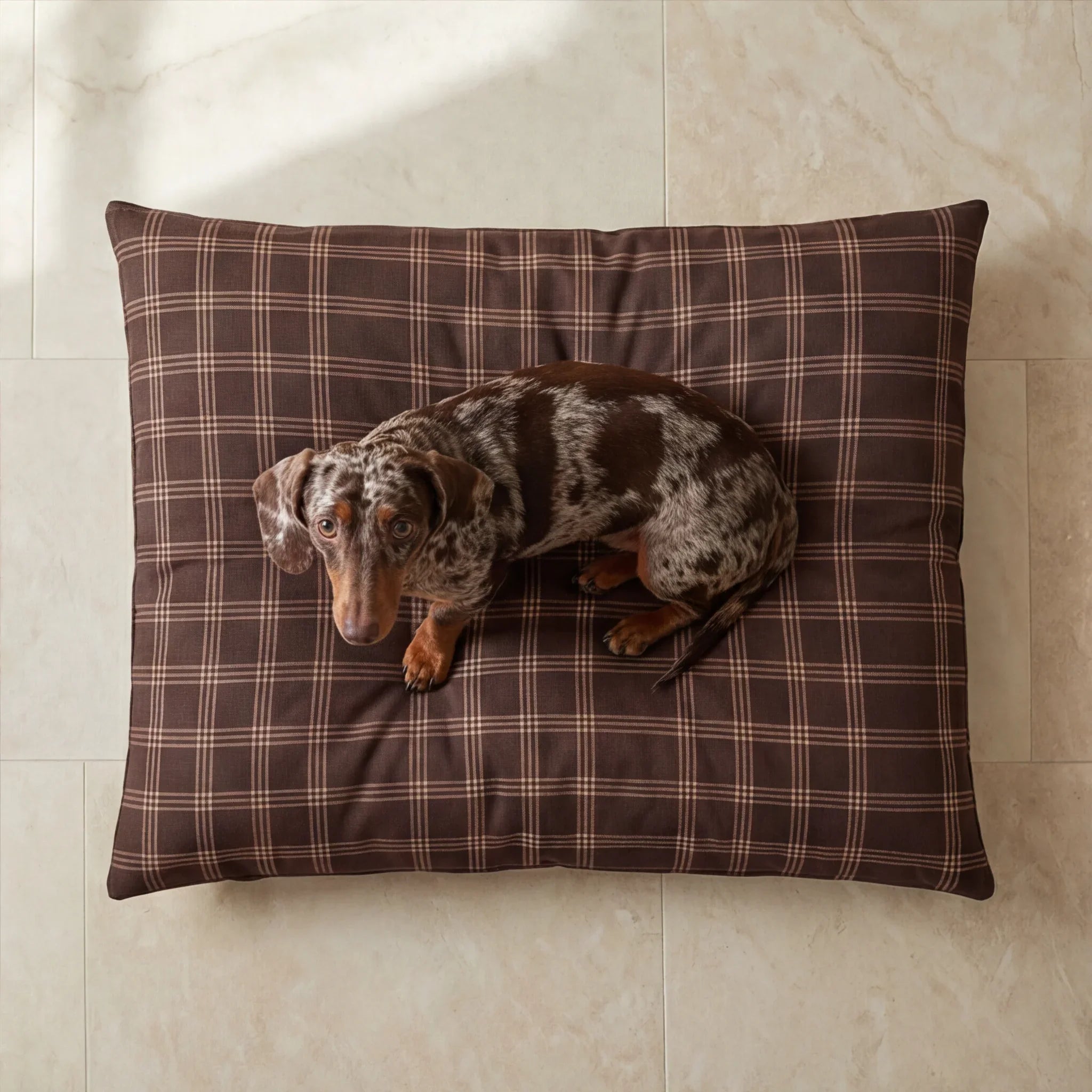 Cama para mascotas desenfundable antimanchas Gus