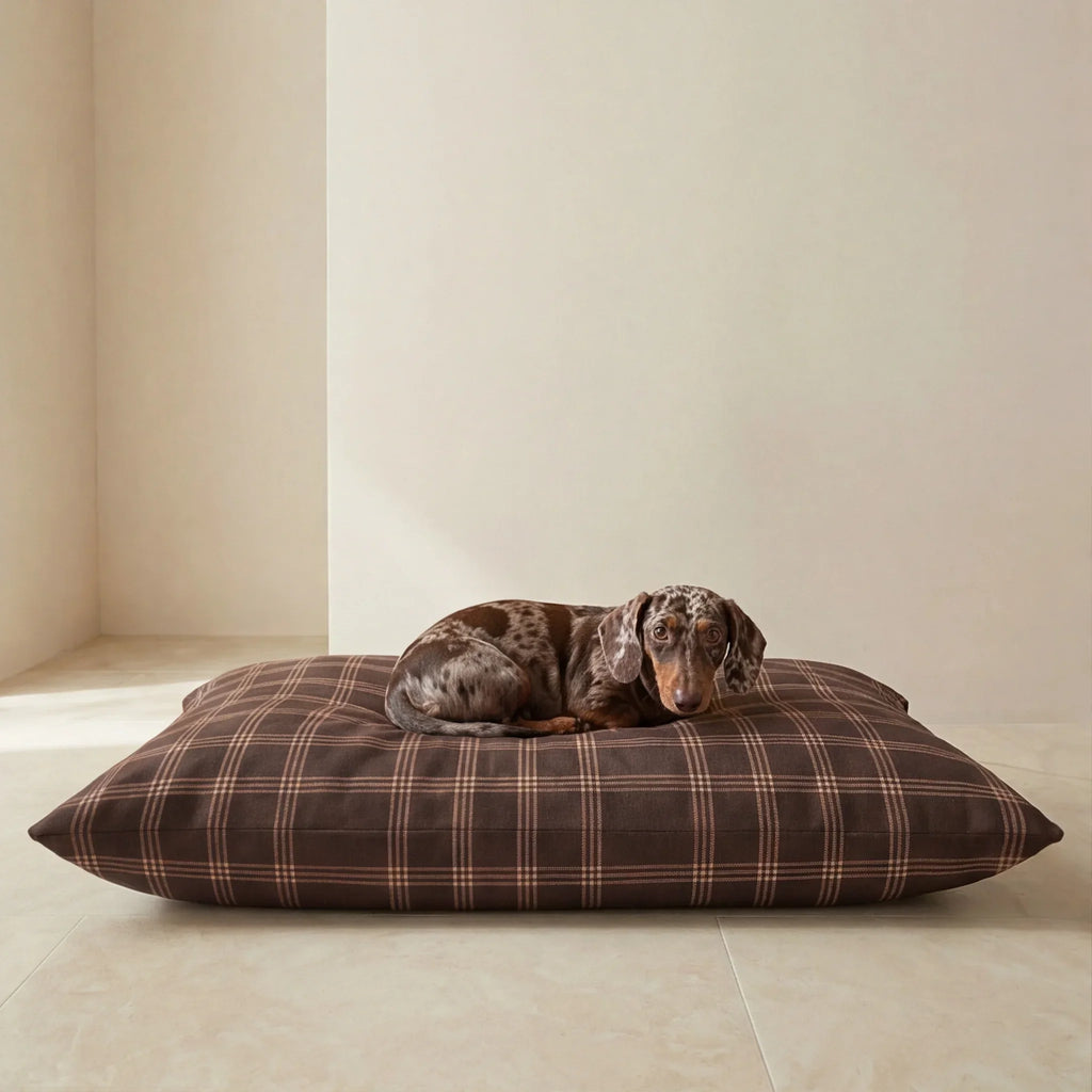Cama para mascotas desenfundable antimanchas Gus