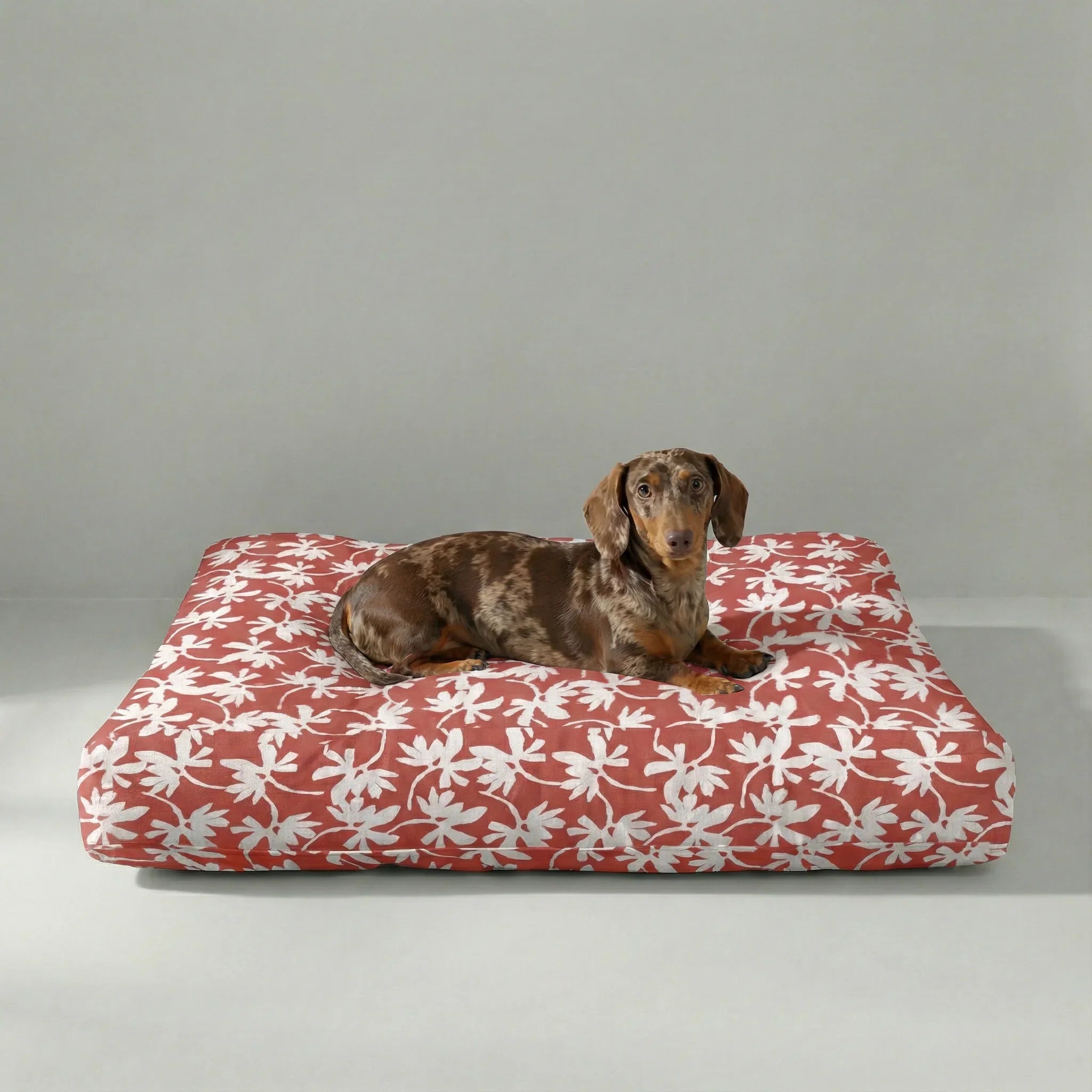 Cama para mascota gruesa y acolchada con acabado antimanchas Halton 25