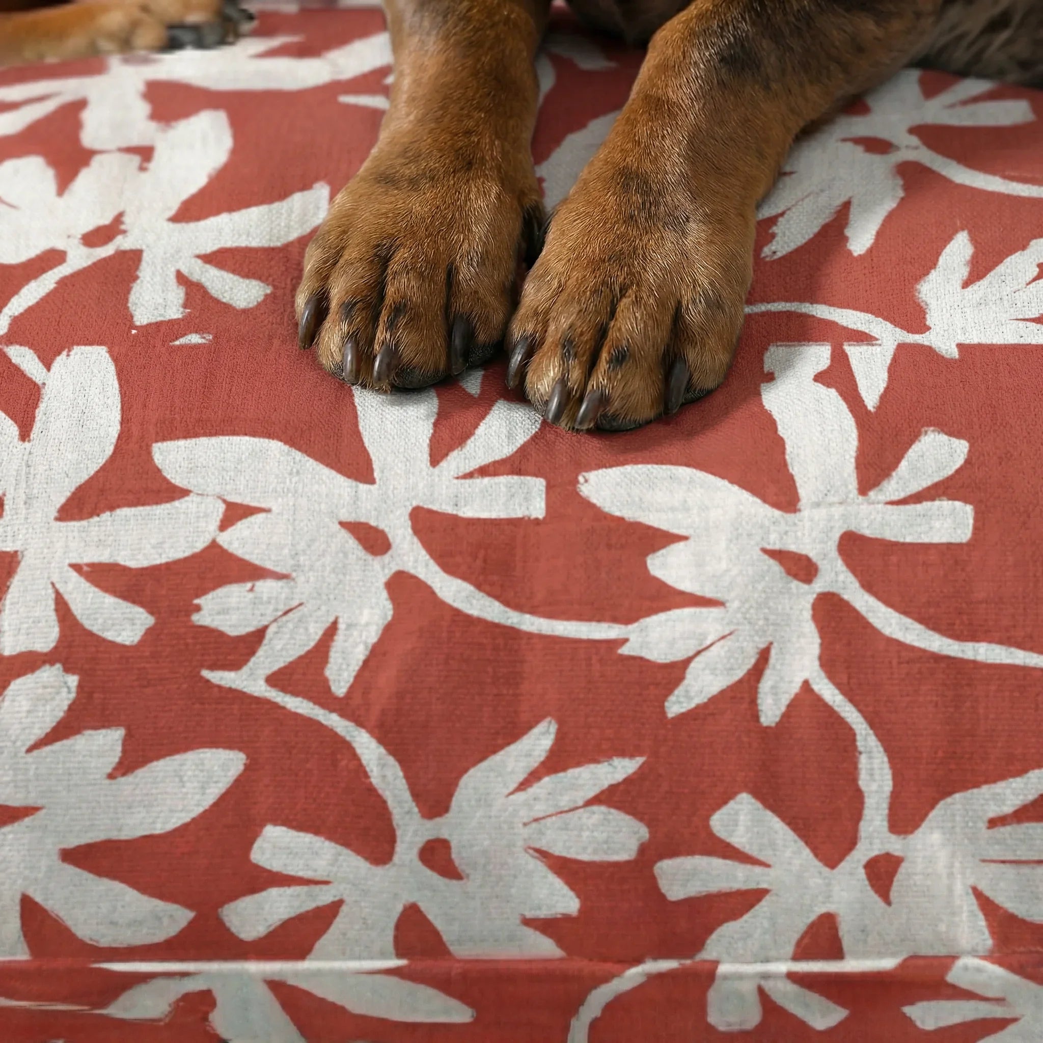Cama para mascota gruesa y acolchada con acabado antimanchas Halton 25