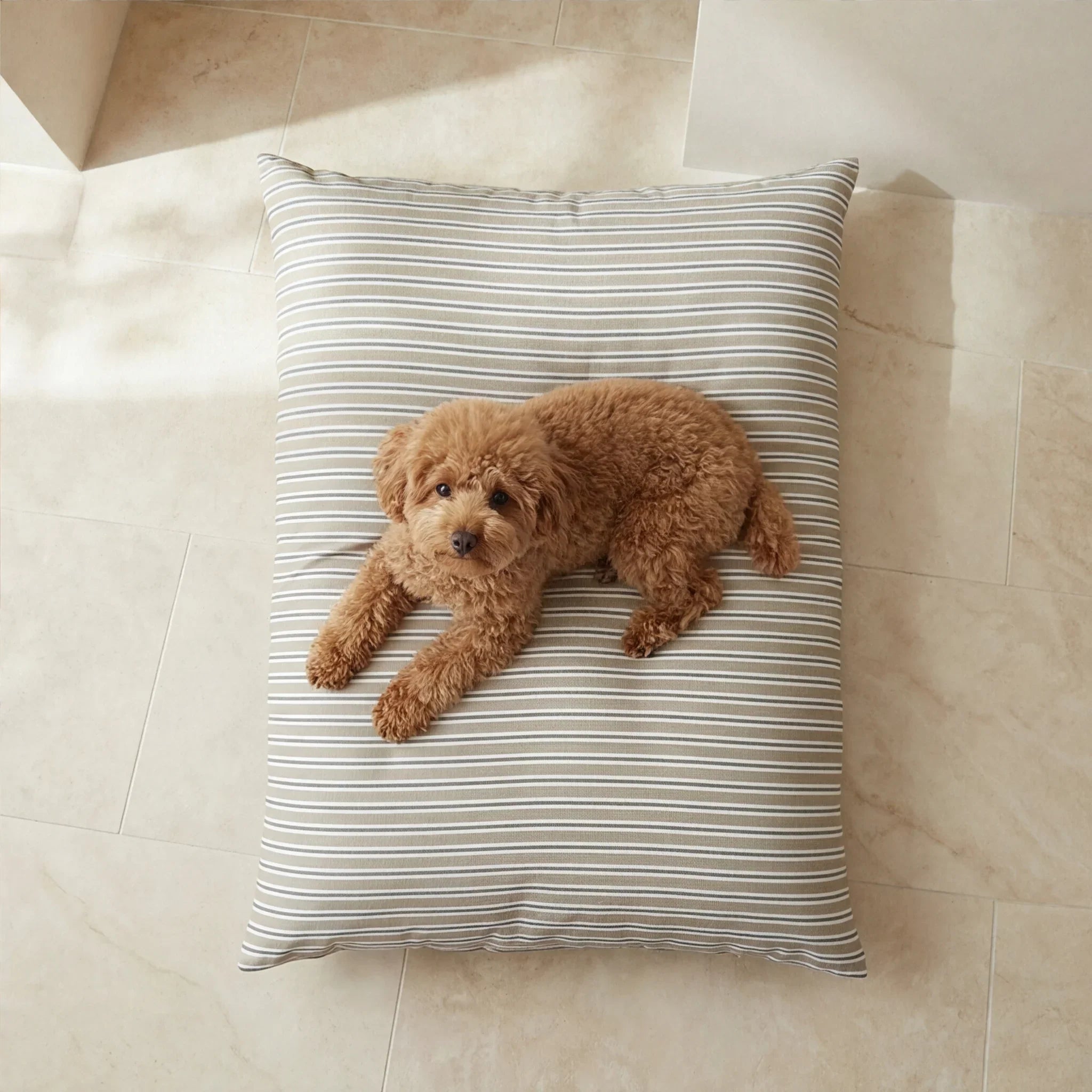 Cama para mascotas desenfundable antimanchas Joel