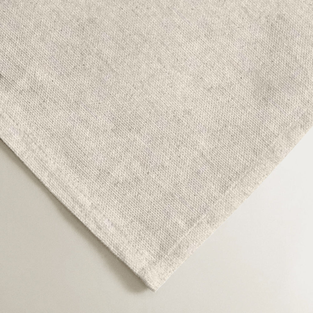 Pack 2 unidades mantel individual resinado Liso Lino 101 - 45x35 cm