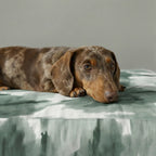 Cama para mascota gruesa y acolchada con acabado antimanchas Luton 12