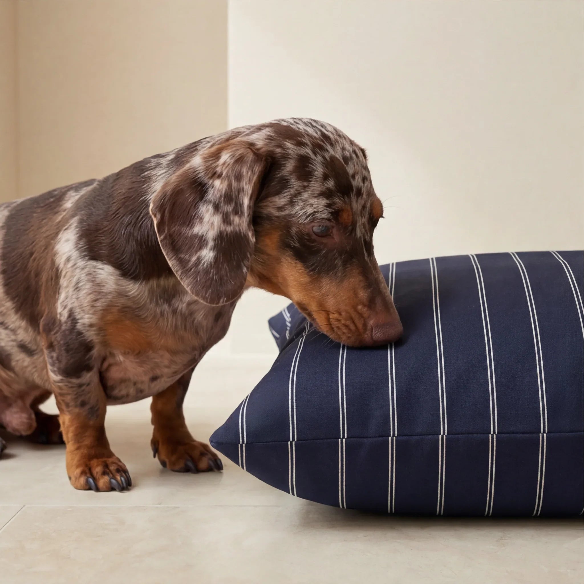 Funda para cama de mascota antimanchas Max Marino
