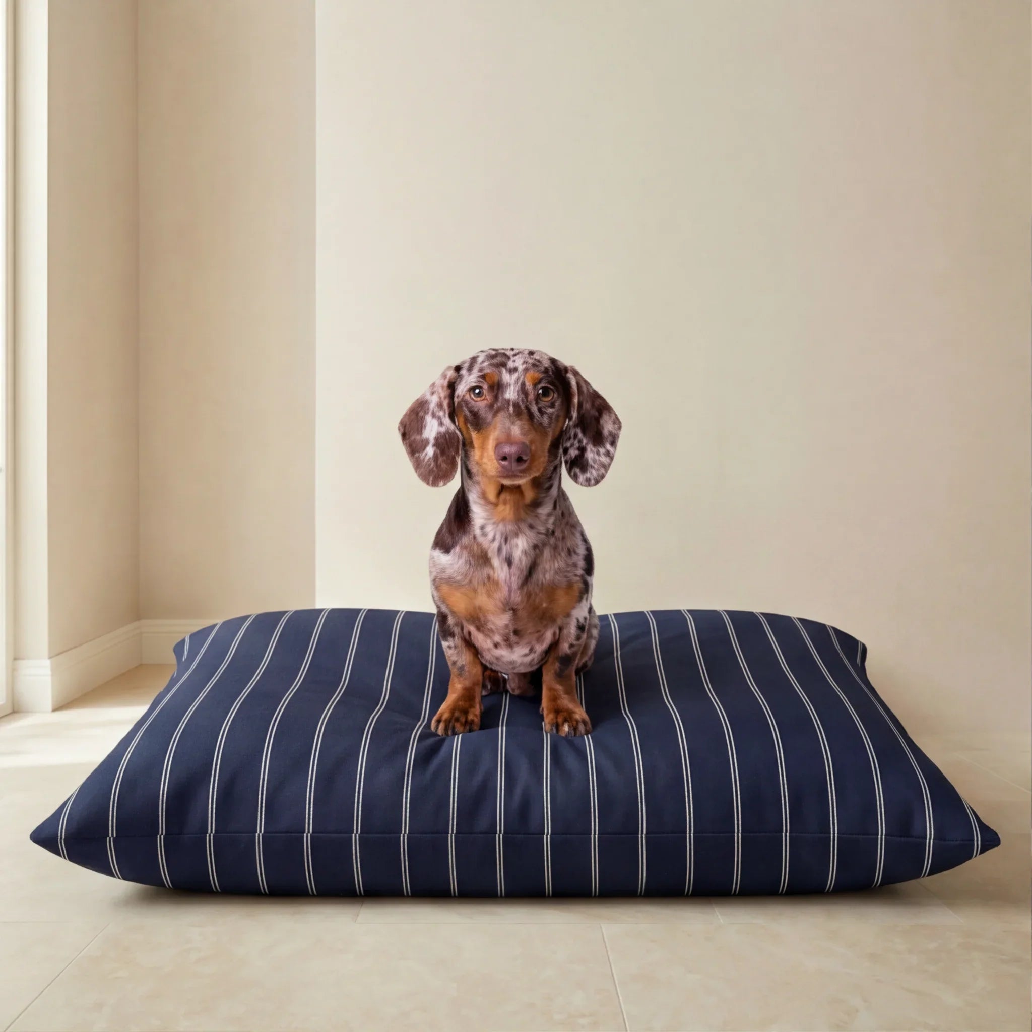 Cama para mascotas desenfundable antimanchas Max Marino