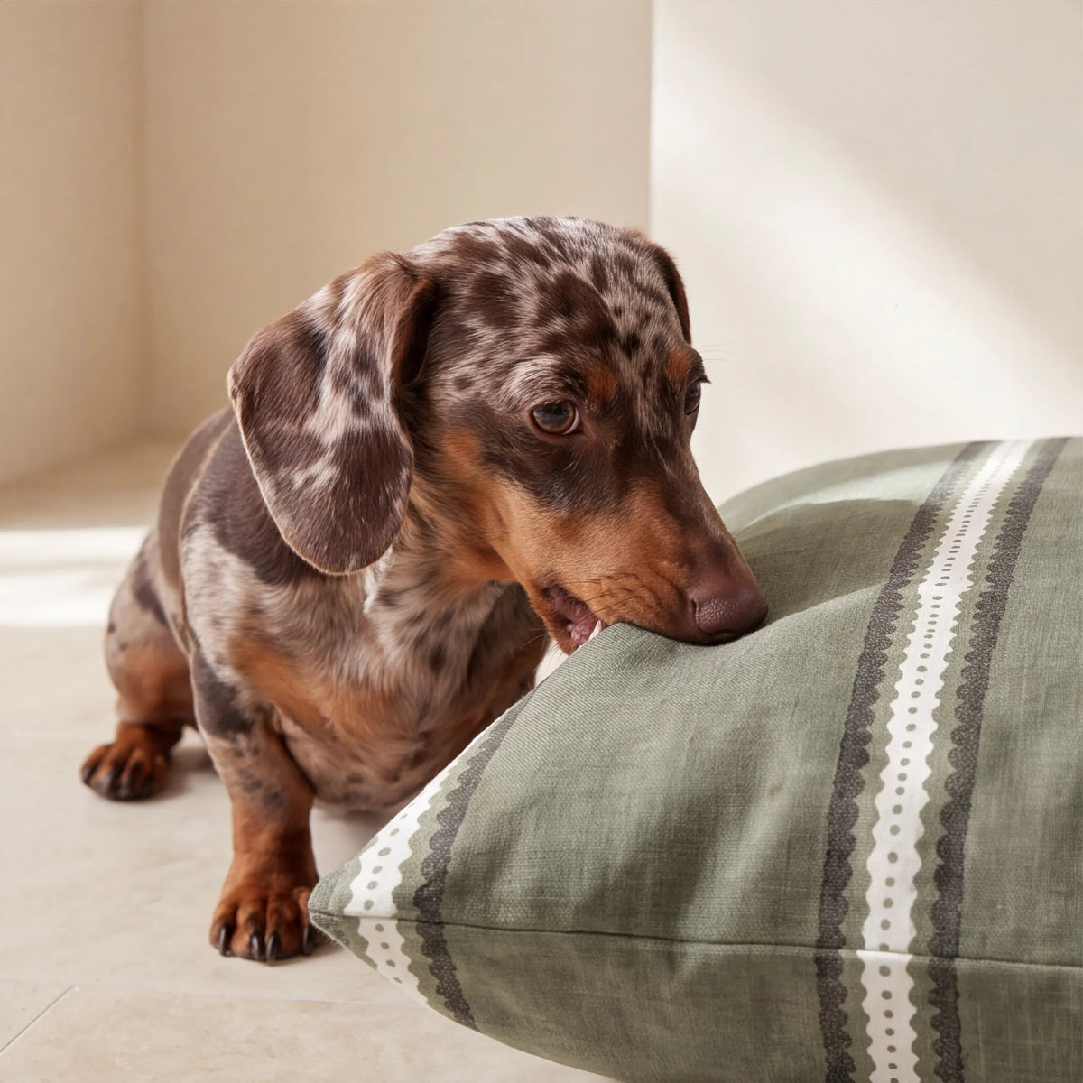 Cama para mascotas desenfundable antimanchas Cora