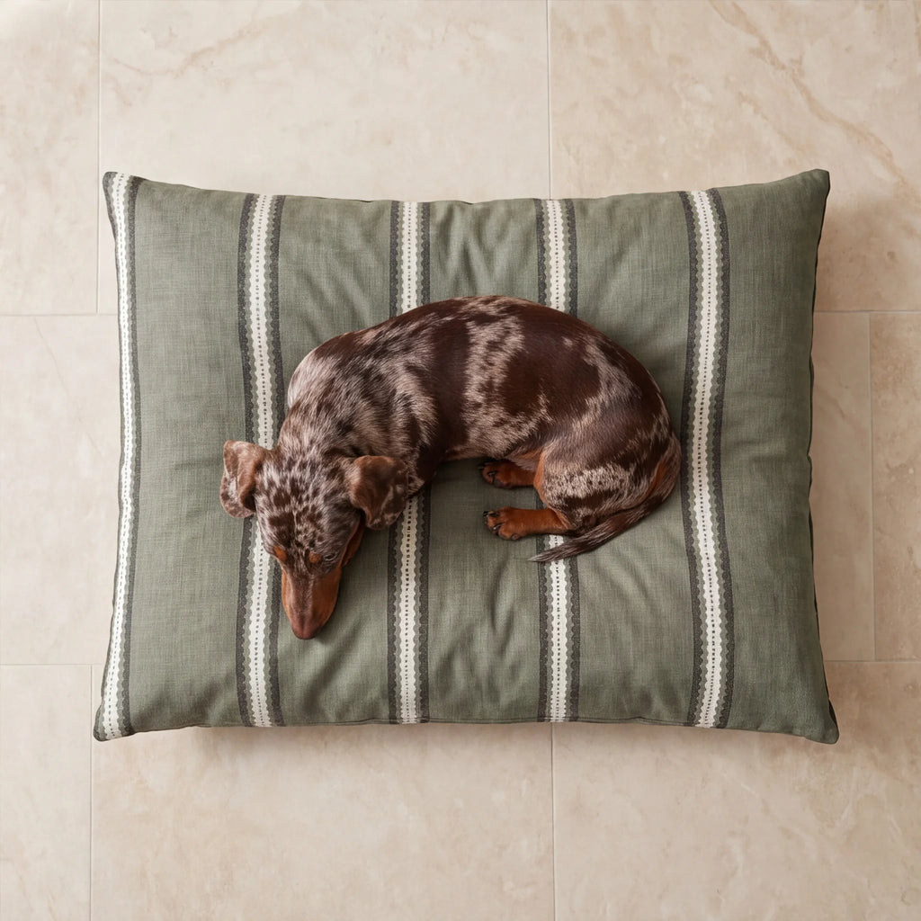 Cama para mascotas desenfundable antimanchas Cora