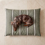 Cama para mascotas desenfundable antimanchas Cora