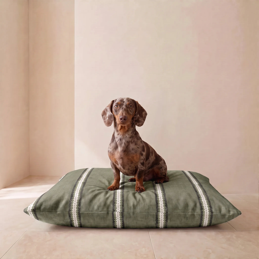 Cama para mascotas desenfundable antimanchas Cora