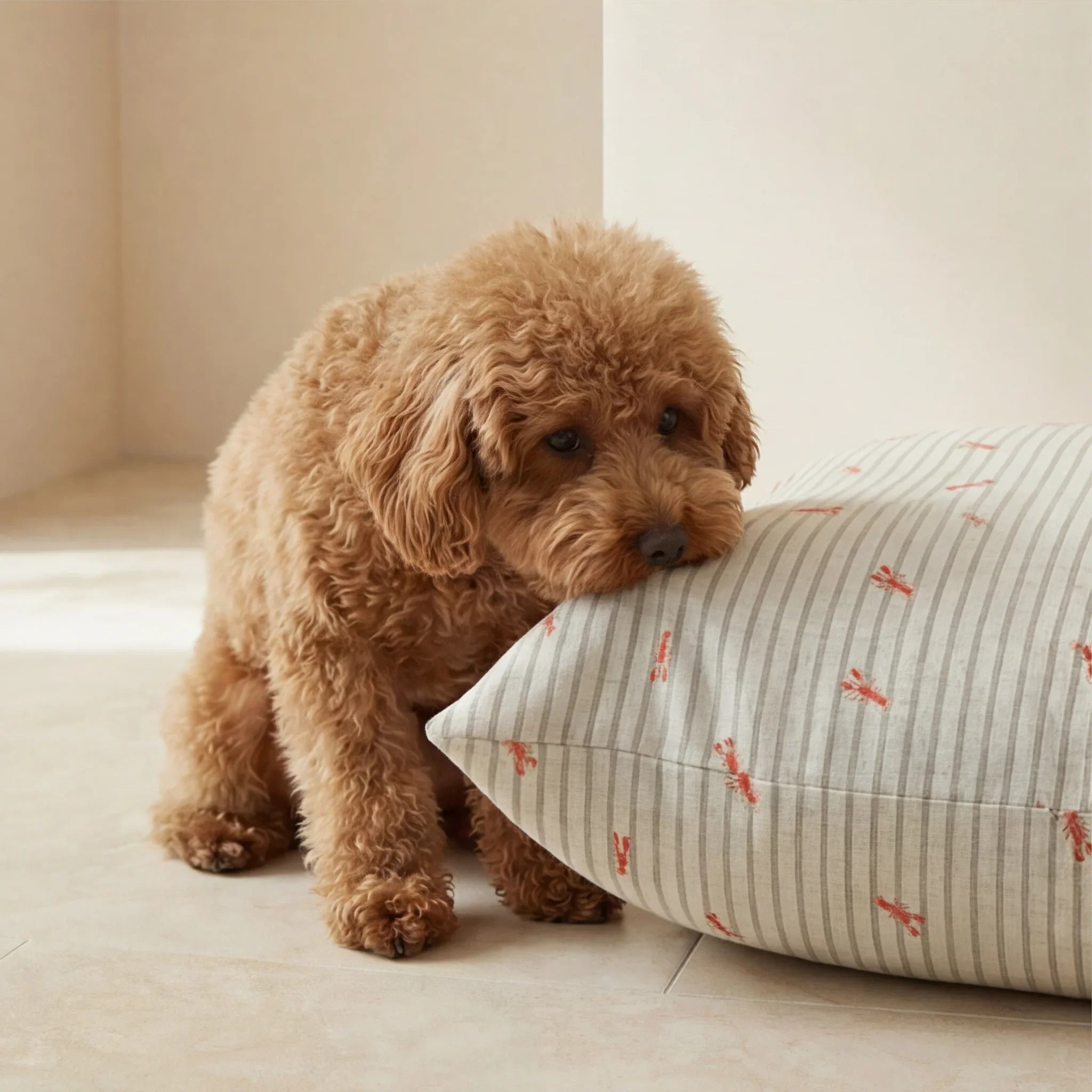 Funda para cama de mascota antimanchas Milu