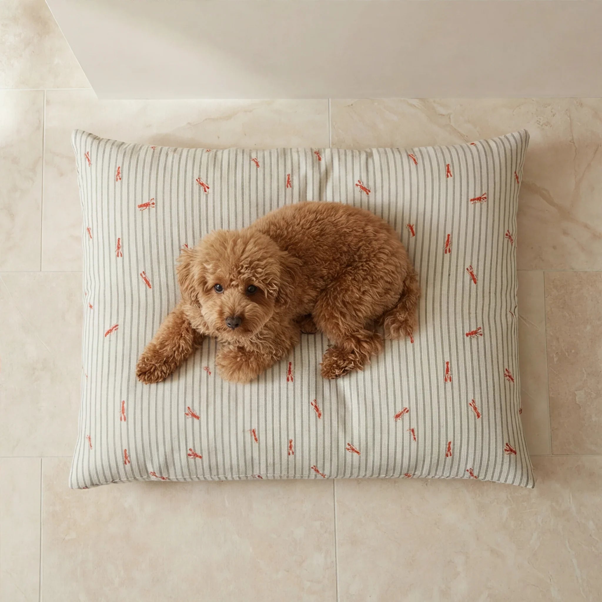 Cama para mascotas desenfundable antimanchas Milu