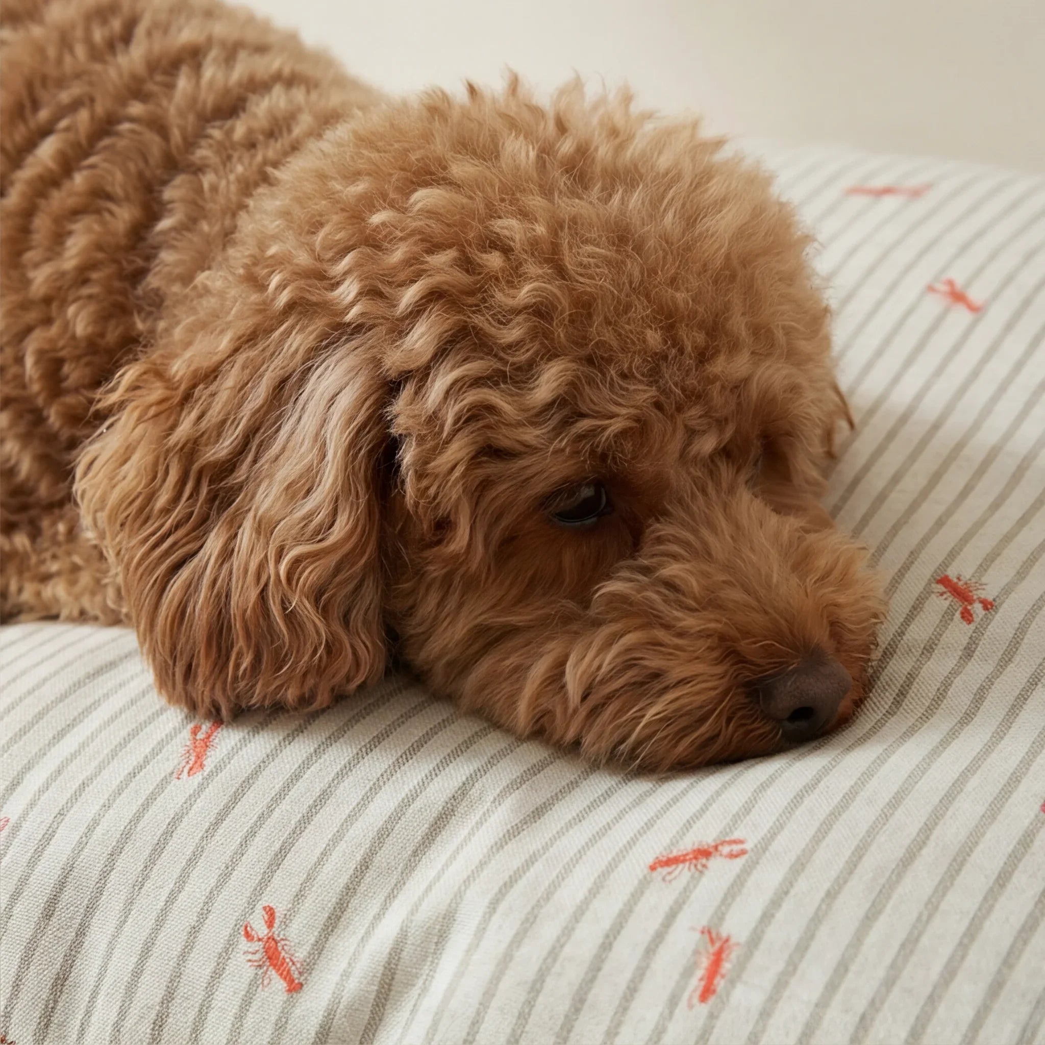 Funda para cama de mascota antimanchas Milu