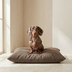 Cama para mascotas desenfundable antimanchas Mocha Marron