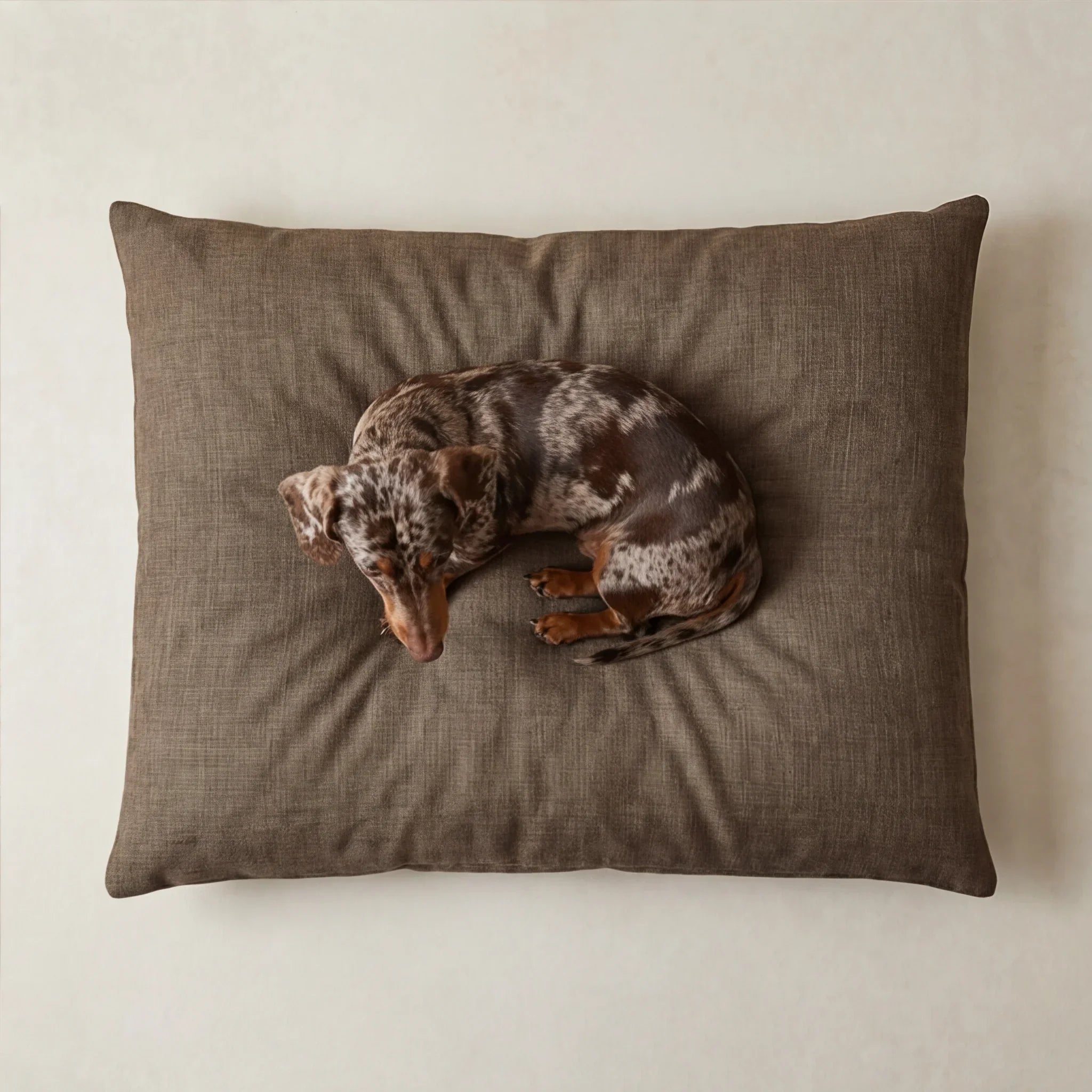 Cama para mascotas desenfundable antimanchas Mocha Marron