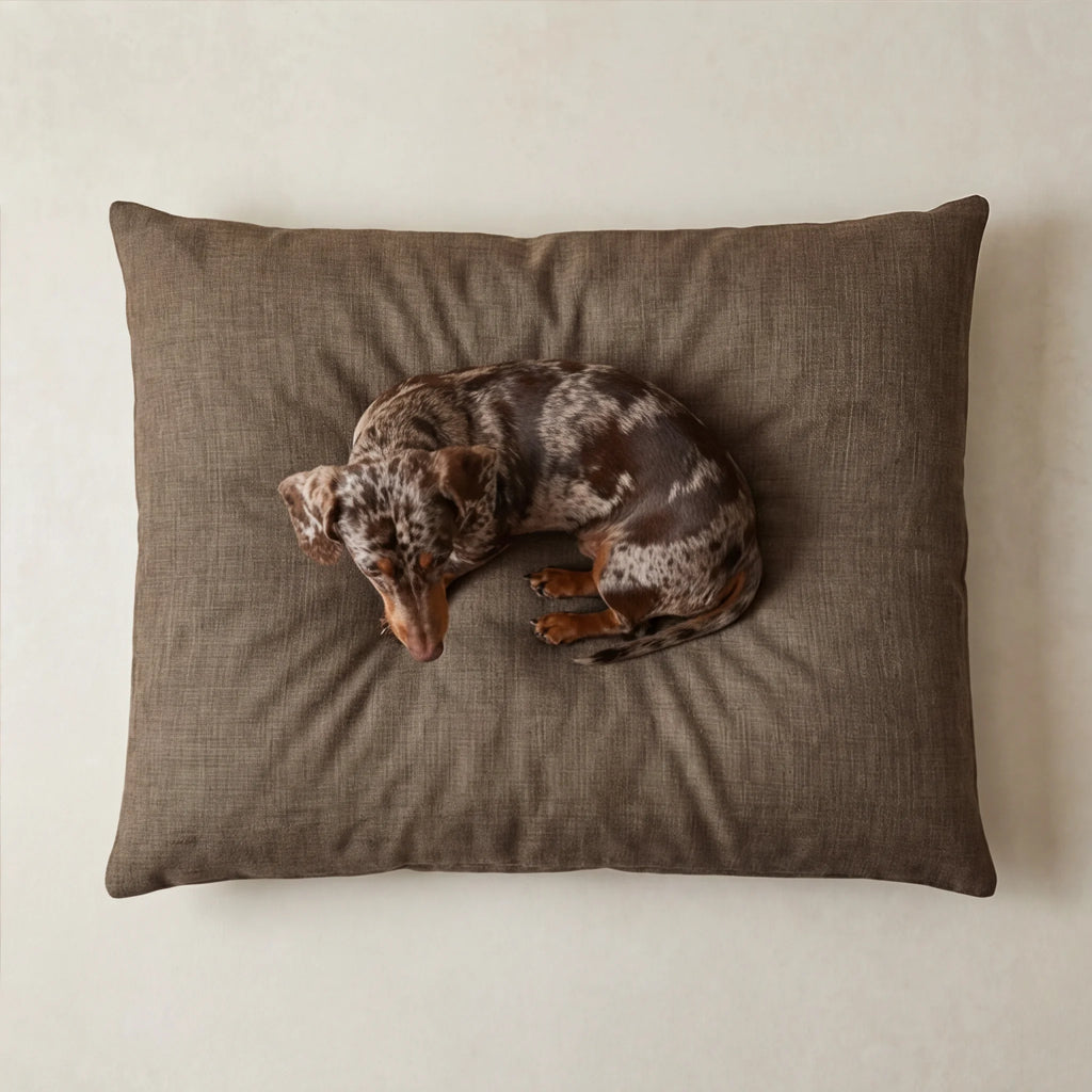 Funda para cama de mascota antimanchas Mocha Marron