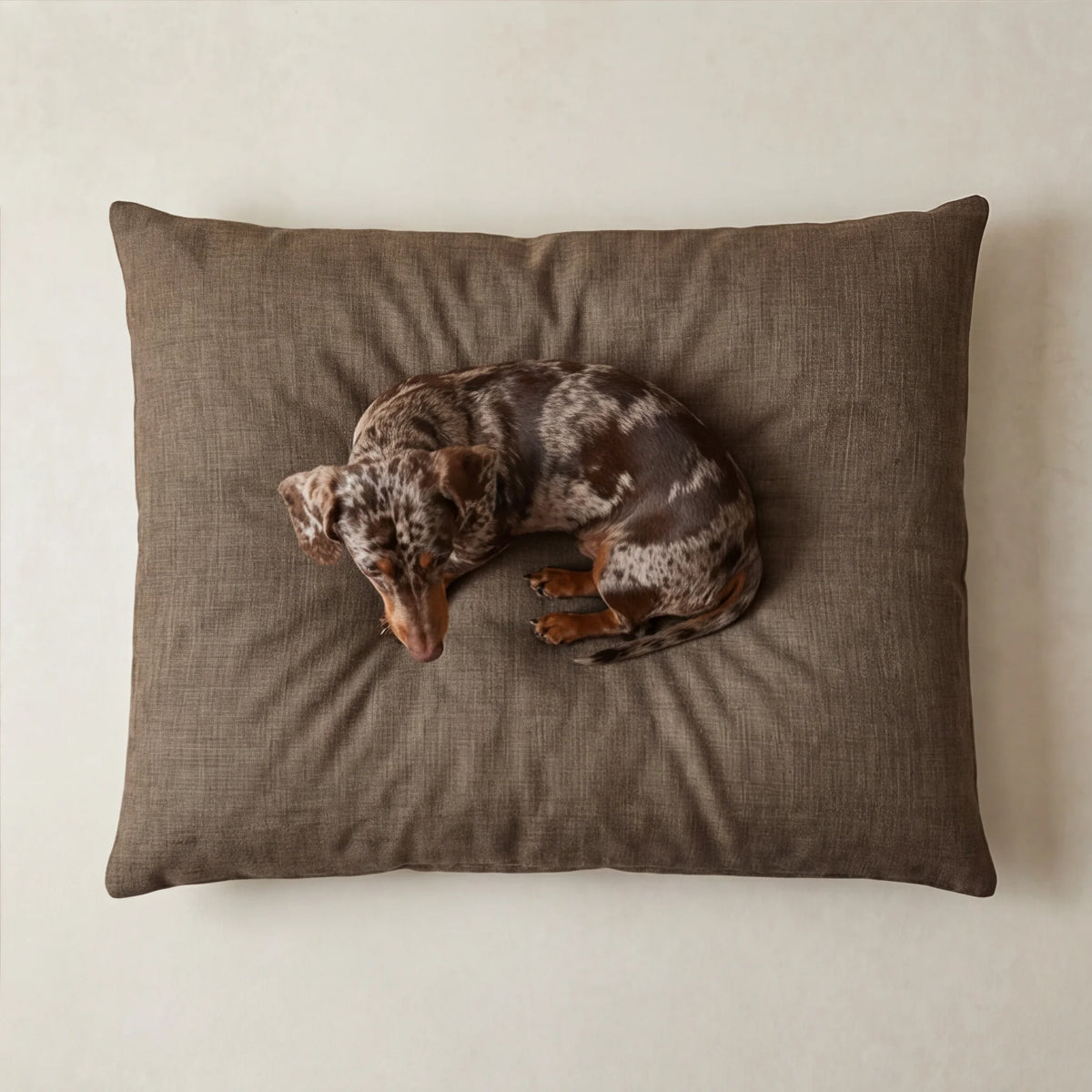 Funda para cama de mascota antimanchas Mocha Marron