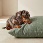 Cama para mascotas desenfundable antimanchas Monina Dusky 8