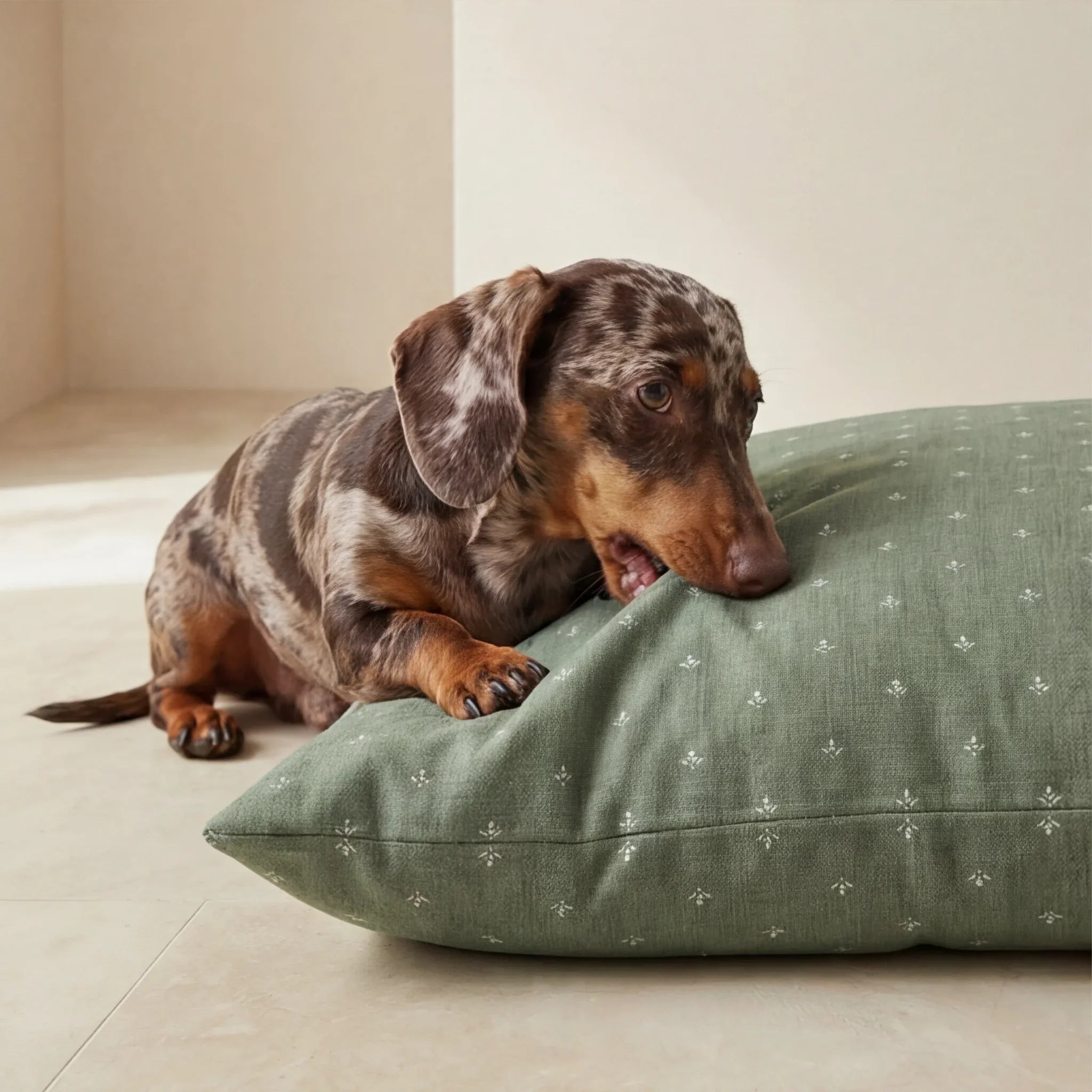 Funda para cama de mascota antimanchas Monina Dusky 8