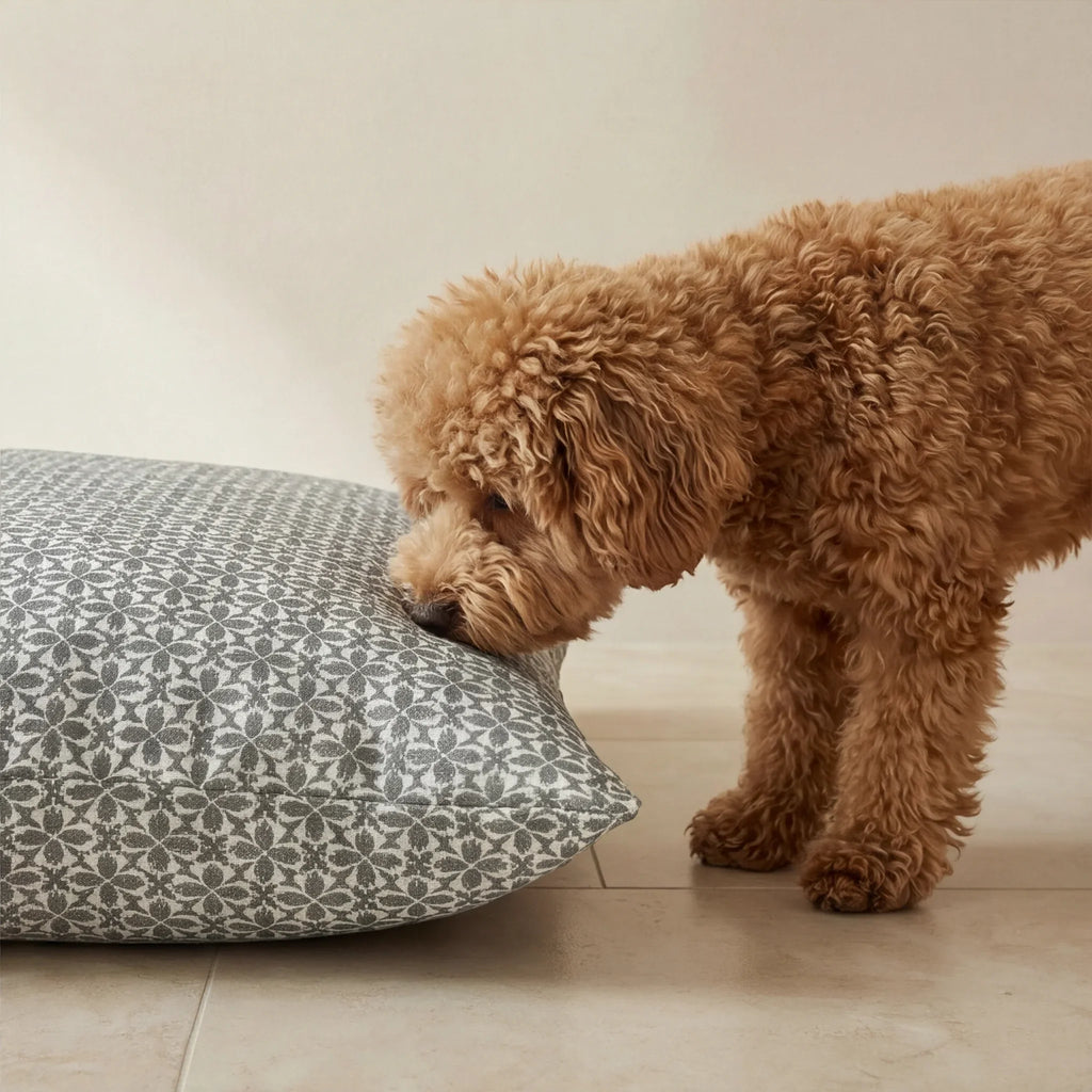 Cama para mascotas desenfundable antimanchas Monina Soft 10