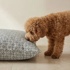 Cama para mascotas desenfundable antimanchas Monina Soft 10